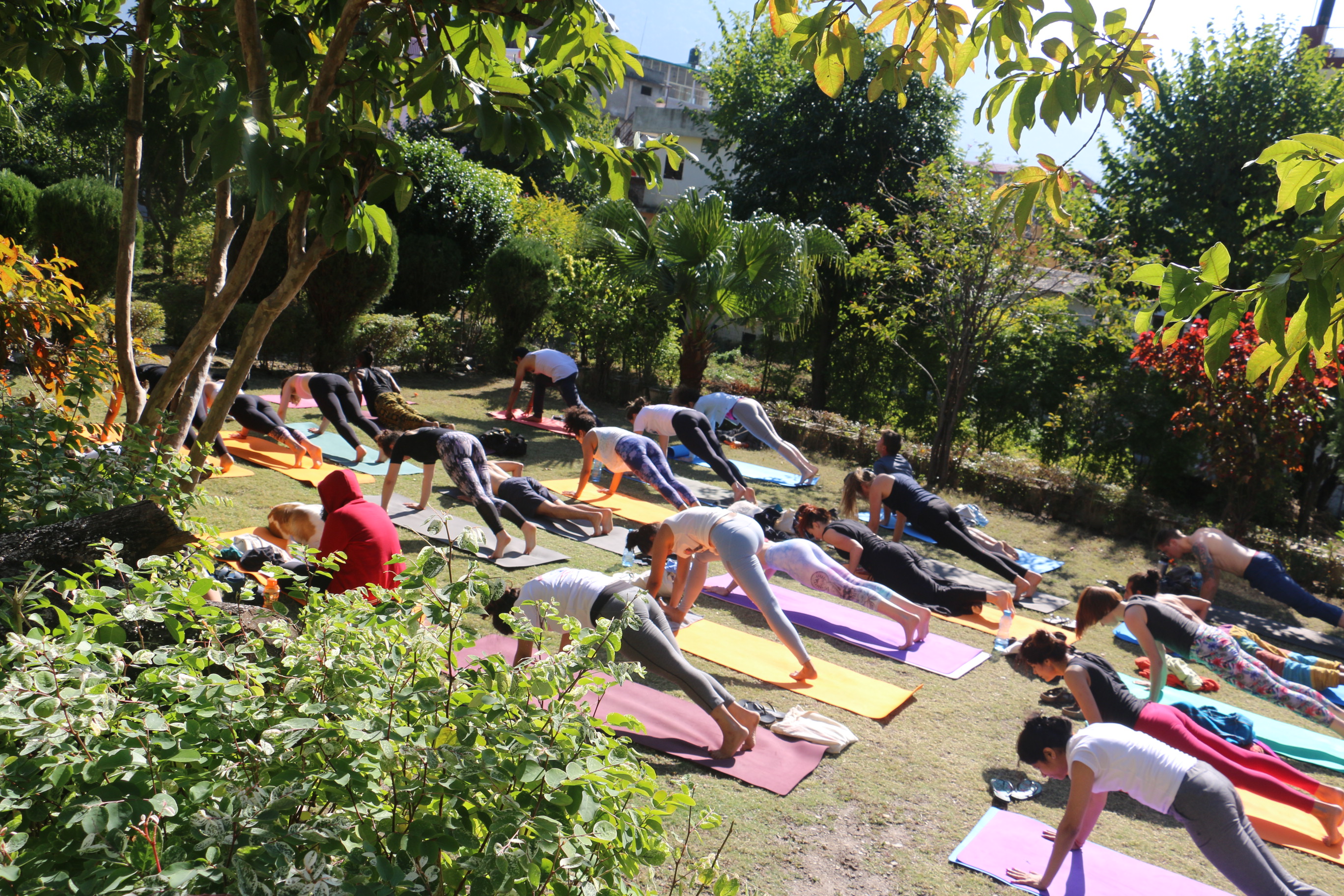 Iyengar Yoga Workshop