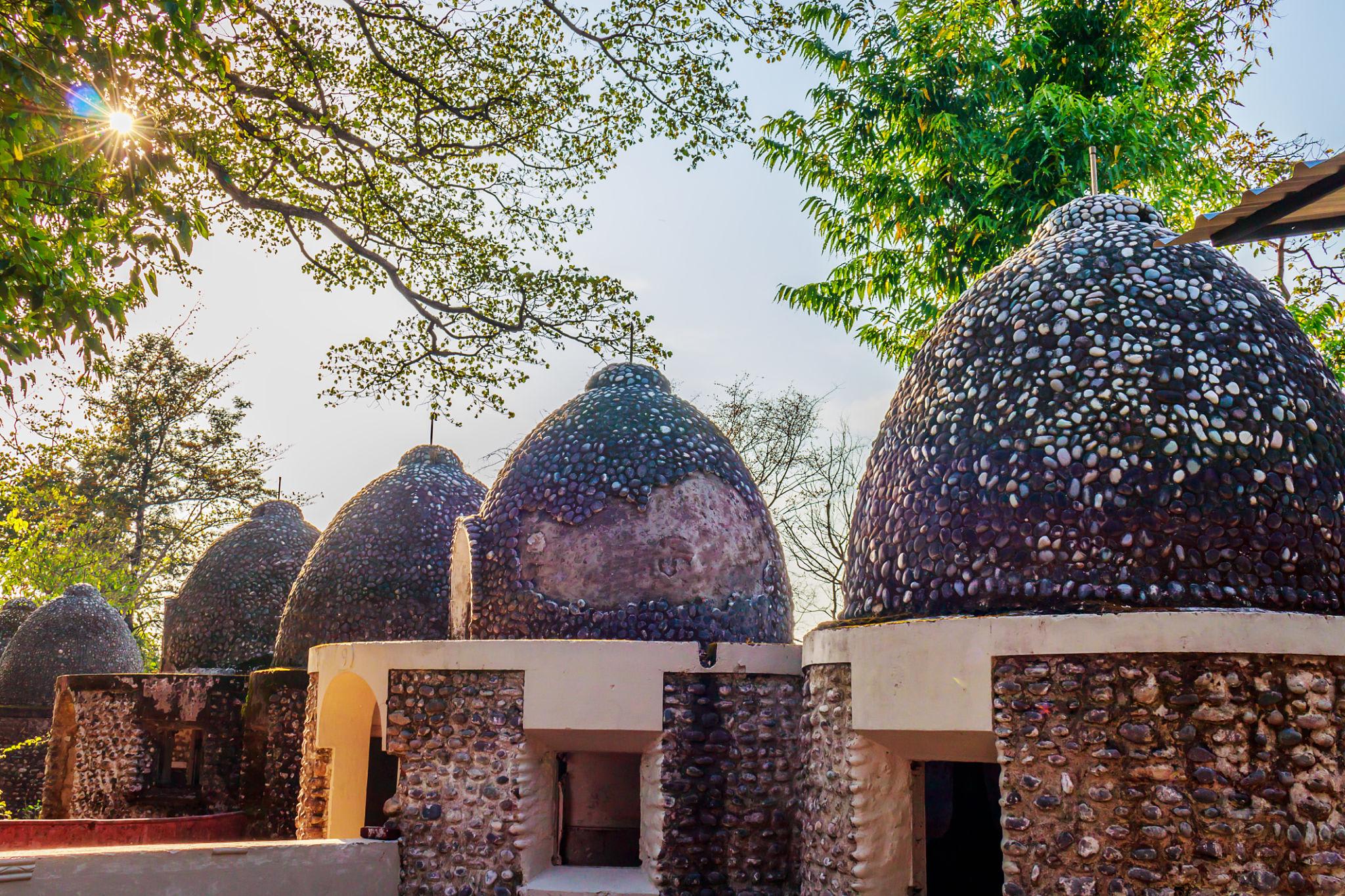 Ancient Roots to Global Yoga Capital